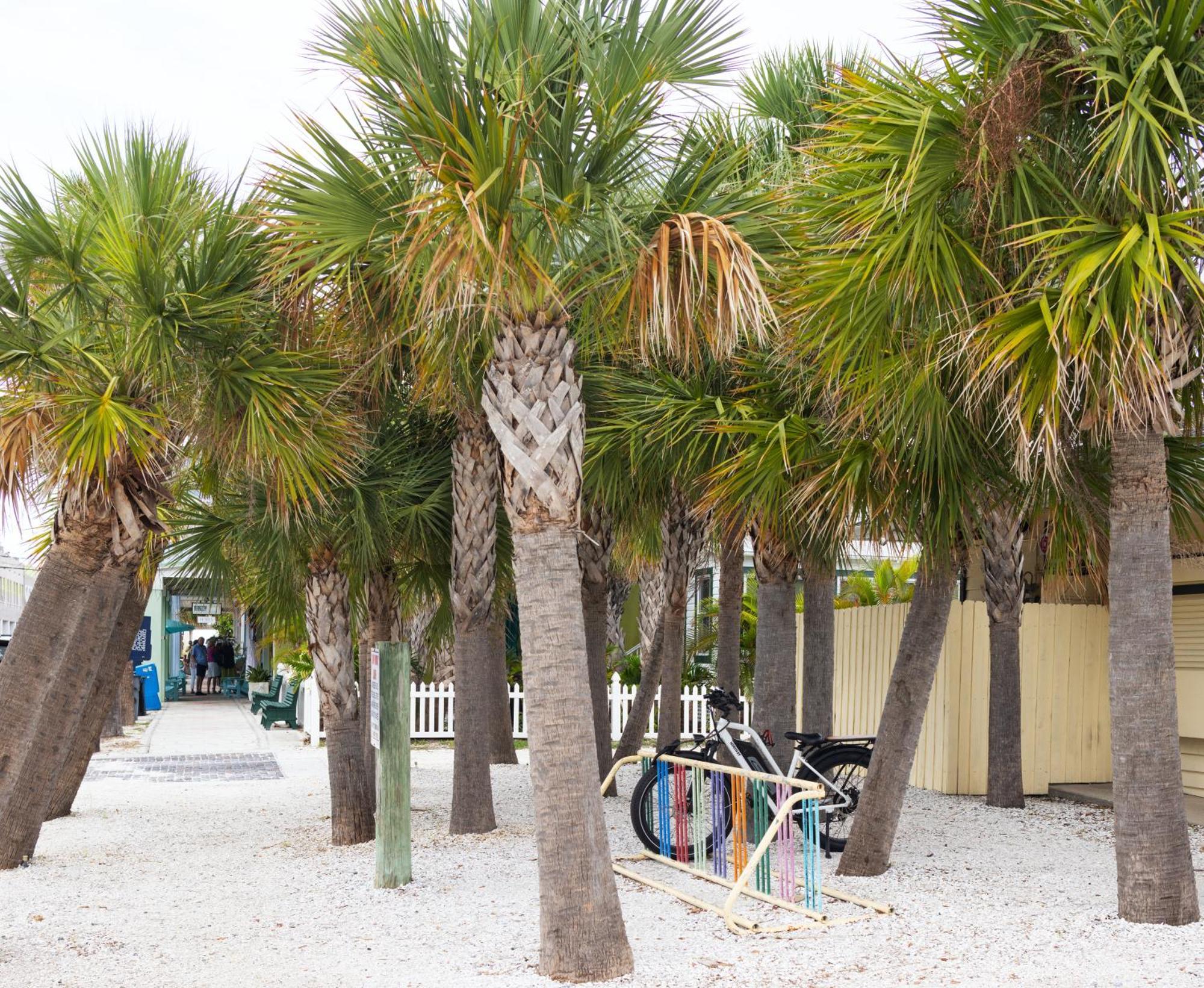 The Hotel Zamora St. Pete Beach Exteriör bild